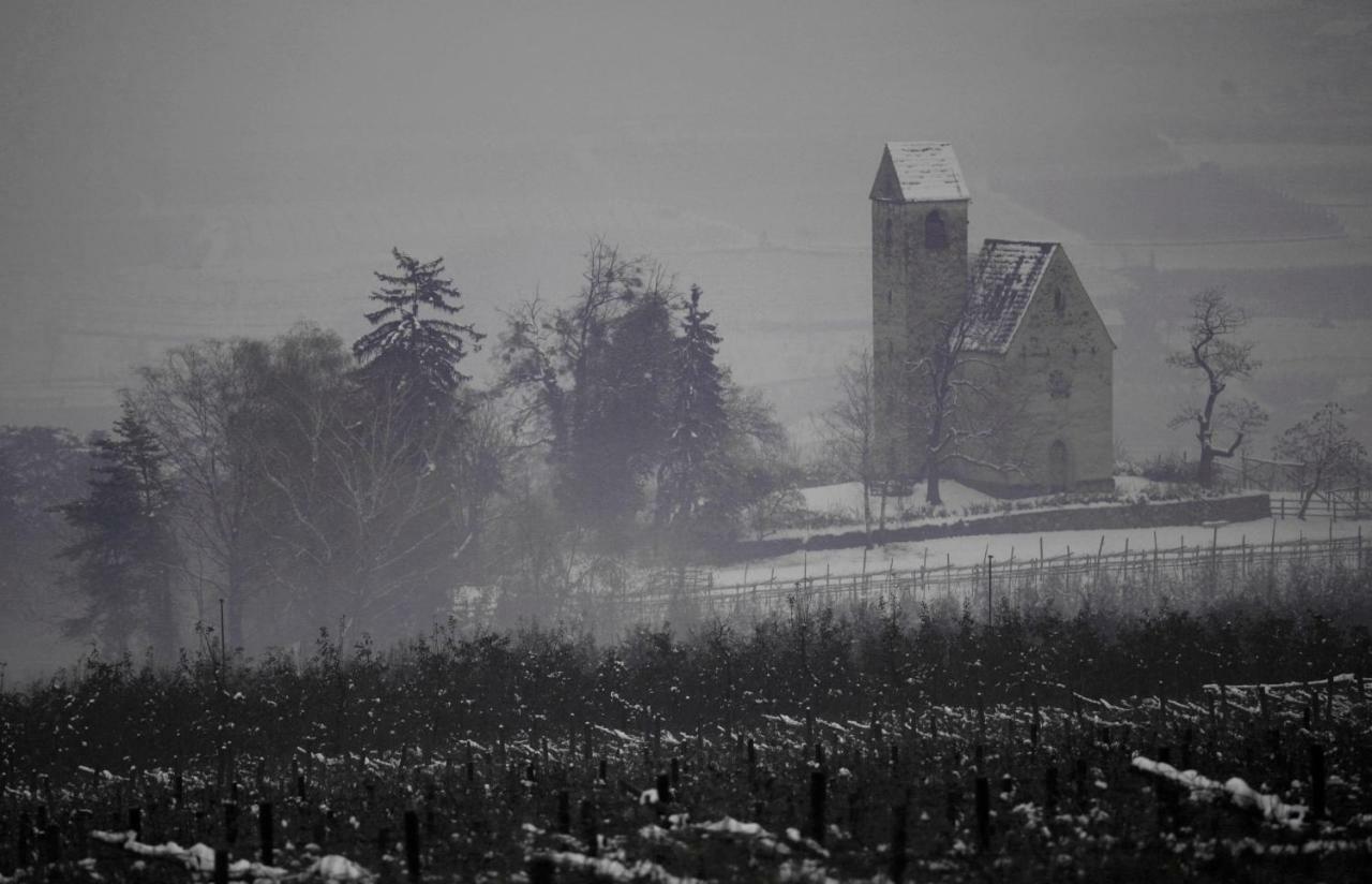 Ansitz Jenner Appiano Sulla Strada Del Vino Exterior foto
